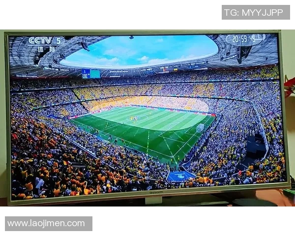 欧洲杯赛事安全管理及突发事件应对 欧洲杯赛事安全管理及突发事件应对