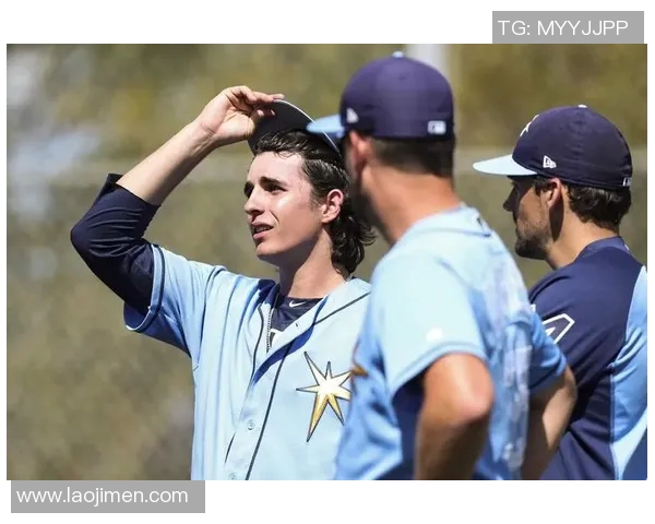 职业棒球联盟中投手疲劳指数模型构建与验证 职业棒球联盟中投手疲劳指数模型构建与验证